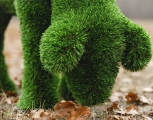 Топиари ягненок Крити, на лугу - газон Deluxe