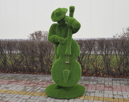 Топиари музыкант с контрабасом- газон Eco+, фото 1