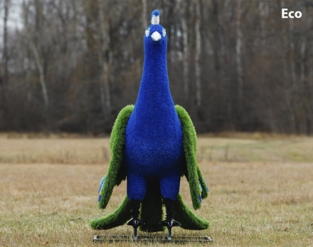 Топиари Павлин, основа композиций - газон Eco, фото 3