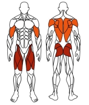 Тяга верхняя+Флекс (серый) - Уличный тренажер - СТ 021-13.И1 Тяга верхняя+Флекс (серый) - Уличный тренажер - СТ 021-13.И1