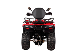 Квадроцикл BIZON YK200 Basic Carb, фото 5