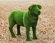 Топиари овечка Молли - газон Deluxe