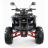 Квадроцикл MOTAX ATV Grizlik-7 110cc