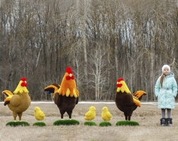 Топиари композиция Курятник - газон Eco + Deluxe, фото 6