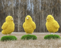 Топиари композиция Курятник - газон Eco + Deluxe