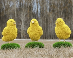 Топиари композиция Курятник - газон Eco + Deluxe, фото 5