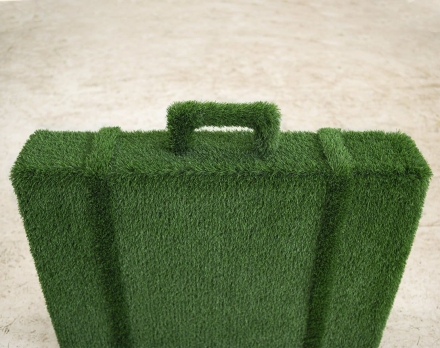 Топиари саквояж - газон Eco, фото 3