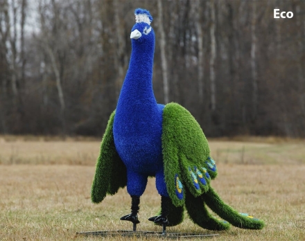 Топиари Павлин, основа композиций - газон Deluxe+Eco, фото 4