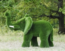 Топиари слон Лермон - газон Premium Топиари слон Лермон - газон Premium