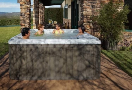 спа-бассейн Sundance Spas Hamilton, фото 2