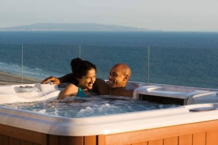 спа-бассейн Sundance Spas Hamilton, фото 4