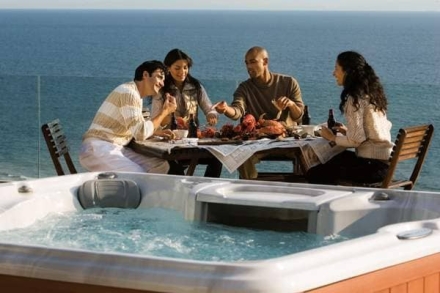 спа-бассейн Sundance Spas Hamilton, фото 3