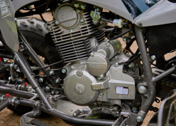 Квадроцикл SHARMAX Raizer Race Cup 250, фото 14 Квадроцикл SHARMAX Raizer Race Cup 250, фото 14