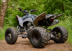 Квадроцикл SHARMAX Raizer Race Cup 250, фото 12 Квадроцикл SHARMAX Raizer Race Cup 250, фото 12