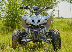 Квадроцикл SHARMAX Raizer Race Cup 250, фото 10 Квадроцикл SHARMAX Raizer Race Cup 250, фото 10