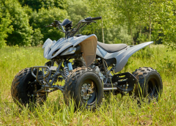 Квадроцикл SHARMAX Raizer Race Cup 250, фото 9 Квадроцикл SHARMAX Raizer Race Cup 250, фото 9