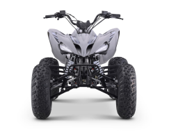 Квадроцикл SHARMAX Raizer Race Cup 250, фото 8 Квадроцикл SHARMAX Raizer Race Cup 250, фото 8