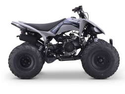 Квадроцикл SHARMAX Raizer Race Cup 250, фото 7 Квадроцикл SHARMAX Raizer Race Cup 250, фото 7