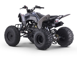 Квадроцикл SHARMAX Raizer Race Cup 250, фото 6 Квадроцикл SHARMAX Raizer Race Cup 250, фото 6