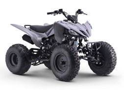 Квадроцикл SHARMAX Raizer Race Cup 250, фото 5 Квадроцикл SHARMAX Raizer Race Cup 250, фото 5