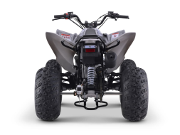 Квадроцикл SHARMAX Raizer Race Cup 250, фото 4 Квадроцикл SHARMAX Raizer Race Cup 250, фото 4