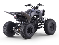 Квадроцикл SHARMAX Raizer Race Cup 250, фото 3 Квадроцикл SHARMAX Raizer Race Cup 250, фото 3