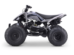 Квадроцикл SHARMAX Raizer Race Cup 250, фото 2 Квадроцикл SHARMAX Raizer Race Cup 250, фото 2