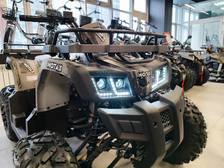 Квадроцикл MOTAX Grizlik T 200, фото 2