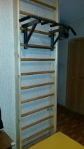 Шведская стенка деревянная из бука EffectSport ДМБ 280х80х14 Шведская стенка деревянная из бука EffectSport ДМБ 280х80х14