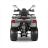 Квадроцикл GLADIATOR F200 Lux Plus