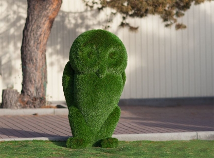 Топиари &quot;Сова&quot; , фото 1