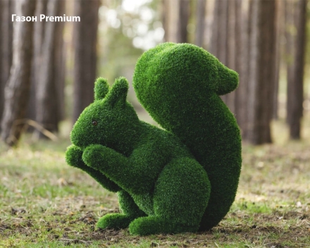 Топиари Белочка - газон Premium, фото 1