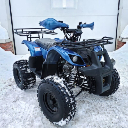 Квадроцикл MOTOLAND 125 Fox A, фото 8