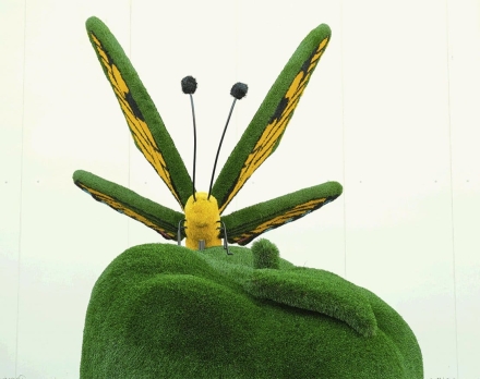 Топиари композиция бабочка Искорка на яблоке - газон Deluxe+Eco, фото 6