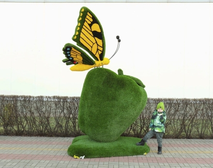 Топиари композиция бабочка Искорка на яблоке - газон Deluxe+Eco, фото 5