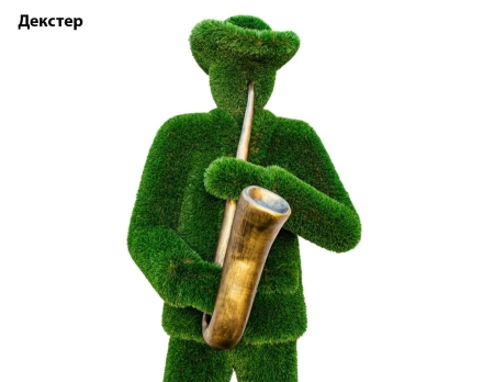 Топиари музыкант, саксофонист Гарретт - газон Deluxe, фото 6