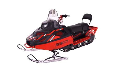 Снегоход БУРЛАК Беркут 27 CS, фото 1