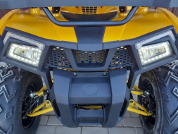 Квадроцикл MOTOLAND ATV 200 Wild Track, фото 17 Квадроцикл MOTOLAND ATV 200 Wild Track, фото 17