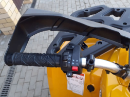 Квадроцикл MOTOLAND ATV 200 Wild Track, фото 16 Квадроцикл MOTOLAND ATV 200 Wild Track, фото 16