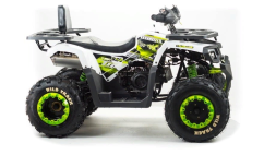 Квадроцикл MOTOLAND ATV 200 Wild Track, фото 3 Квадроцикл MOTOLAND ATV 200 Wild Track, фото 3