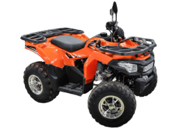 Квадроцикл MOTOLAND ATV 200 Max, фото 4 Квадроцикл MOTOLAND ATV 200 Max, фото 4