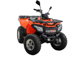 Квадроцикл MOTOLAND ATV 200 Max, фото 3 Квадроцикл MOTOLAND ATV 200 Max, фото 3