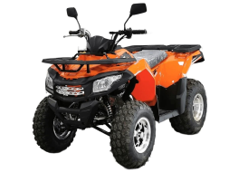 Квадроцикл MOTOLAND ATV 200 Max, фото 1 Квадроцикл MOTOLAND ATV 200 Max, фото 1