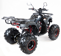 Квадроцикл MOTAX ATV Grizlik-8 125 Квадроцикл MOTAX ATV Grizlik-8 125