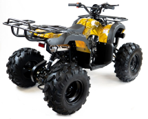 Квадроцикл MOTAX ATV Grizlik-8 125 Квадроцикл MOTAX ATV Grizlik-8 125