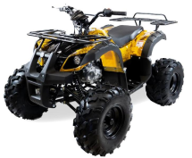 Квадроцикл MOTAX ATV Grizlik-8 125 Квадроцикл MOTAX ATV Grizlik-8 125