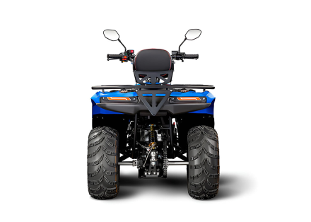 Квадроцикл IRBIS ATV200 LUX, фото 6