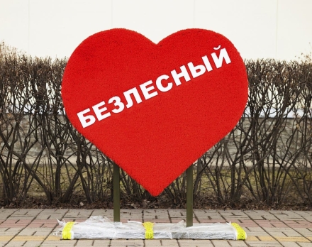 Топиари Сердце Без надписи - газон Eco, фото 4