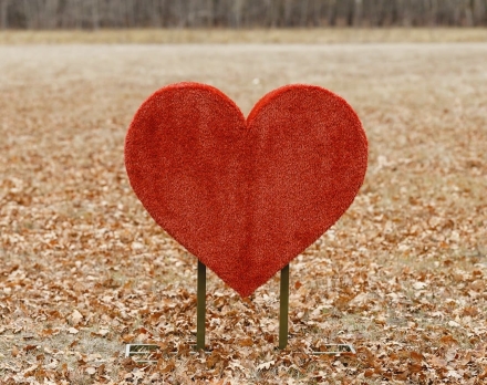 Топиари Сердце Без надписи - газон Eco, фото 2