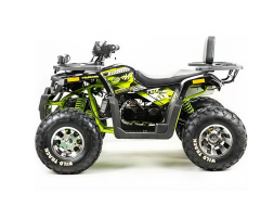 Квадроцикл MOTOLAND 200 Wild Track Pro, фото 3 Квадроцикл MOTOLAND 200 Wild Track Pro, фото 3